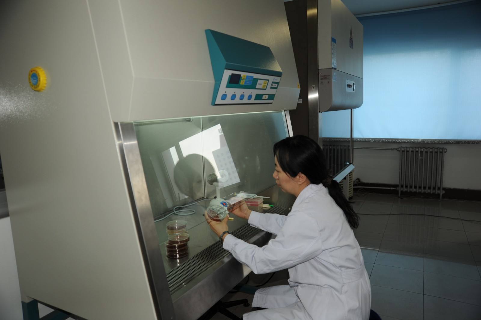 微生物無菌實(shí)驗(yàn)室建設(shè)要點(diǎn)